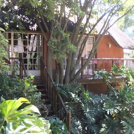 Treetops & Treats Guest House Pretoria-Noord Εξωτερικό φωτογραφία