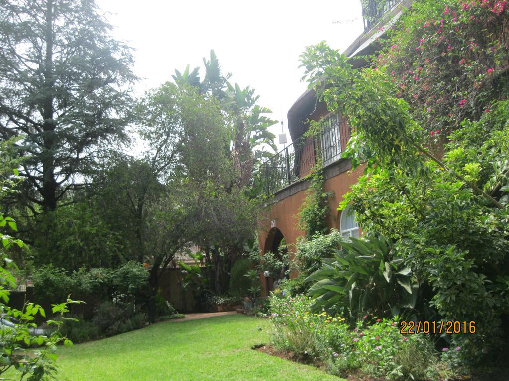 Treetops & Treats Guest House Pretoria-Noord Εξωτερικό φωτογραφία