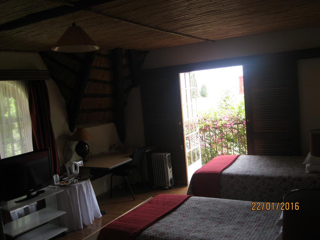 Treetops & Treats Guest House Pretoria-Noord Εξωτερικό φωτογραφία