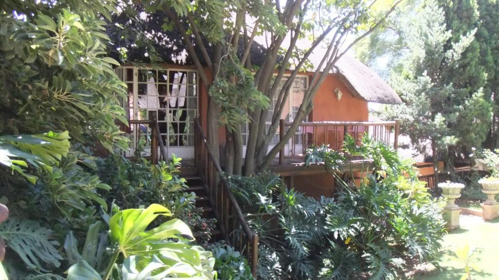 Treetops & Treats Guest House Pretoria-Noord Εξωτερικό φωτογραφία