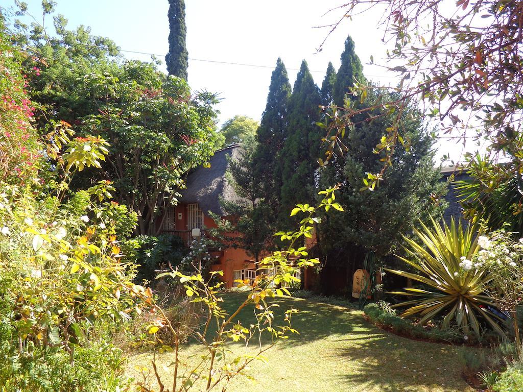 Treetops & Treats Guest House Pretoria-Noord Εξωτερικό φωτογραφία