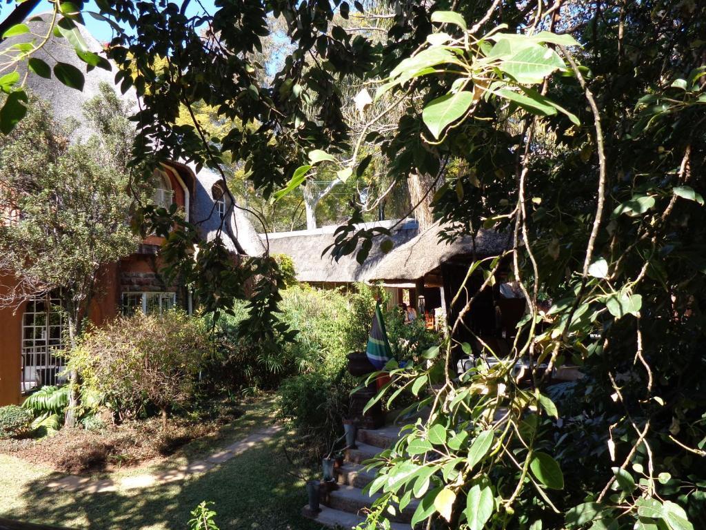 Treetops & Treats Guest House Pretoria-Noord Δωμάτιο φωτογραφία